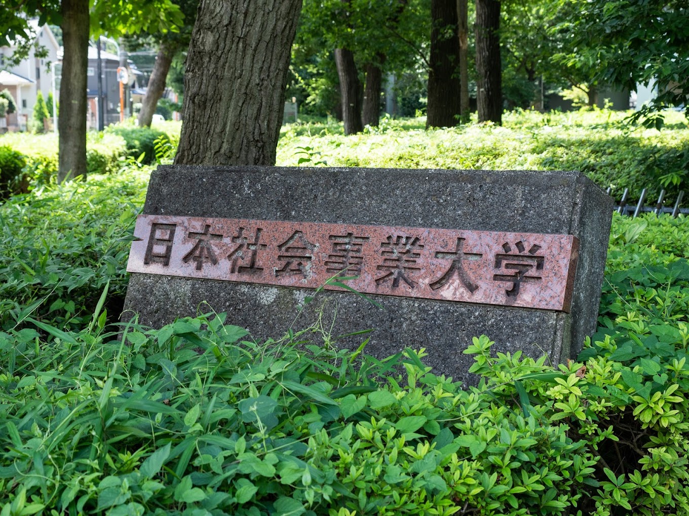 大学入口